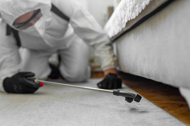 Professional Bed Bug Control technician working in Lake City, SC